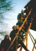 fotka 09 (31 kB)